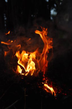 Geceleyin ateş yanan odun