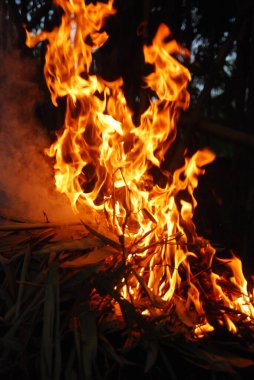 Geceleyin ateş yanan odun