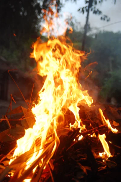 Fire Burning Wood Night — Stock Photo, Image