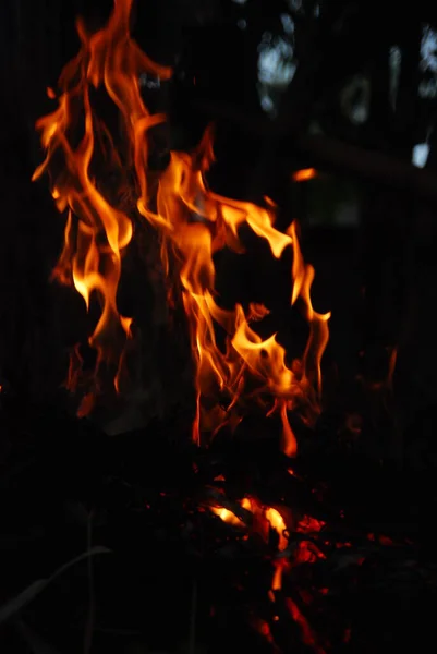 Vuur Brandend Hout Nacht — Stockfoto