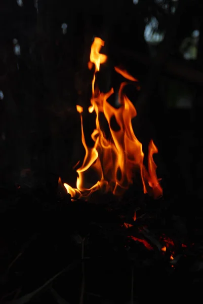 Płonące Drewno Nocy — Zdjęcie stockowe