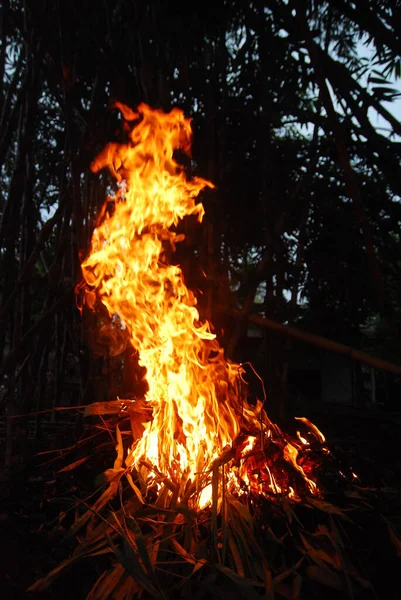 Fire Burning Wood Night — Stock Photo, Image