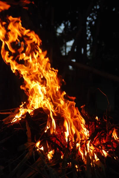 Fuego Leña Noche —  Fotos de Stock