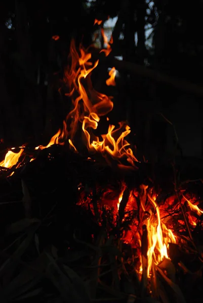 Feuer Verbrennt Holz Der Nacht — Stockfoto
