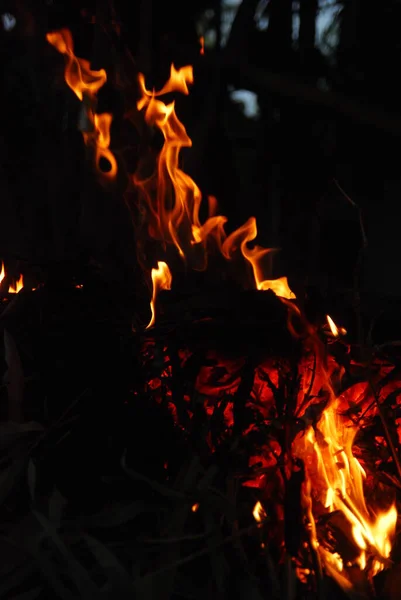 夜は薪を燃やす — ストック写真