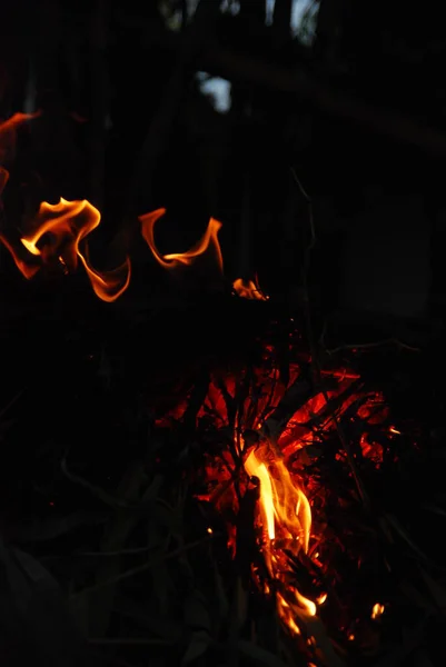 Feuer Verbrennt Holz Der Nacht — Stockfoto