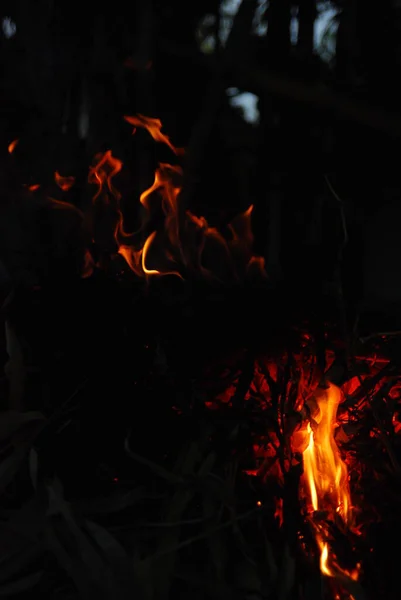 Костры Сжигающие Дрова Ночью — стоковое фото