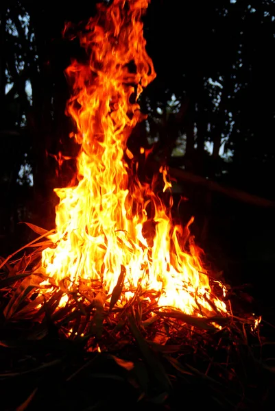 Fuego Leña Noche —  Fotos de Stock