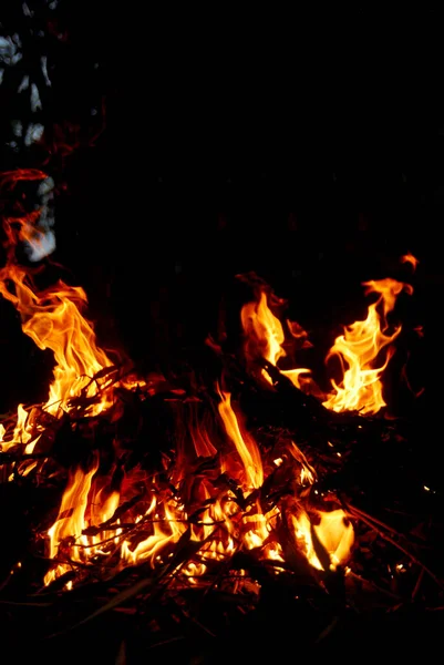 Lenha Queimando Fogo Noite — Fotografia de Stock