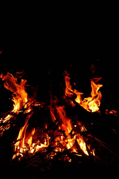 Костры Сжигающие Дрова Ночью — стоковое фото