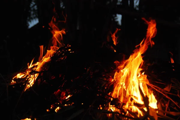 Płonące Drewno Nocy — Zdjęcie stockowe