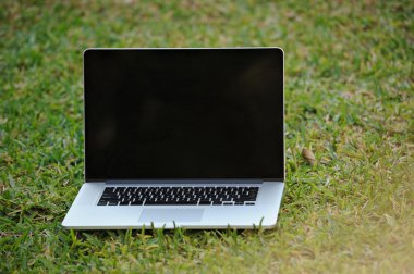 çimenlerin üzerinde açılan dizüstü bilgisayar