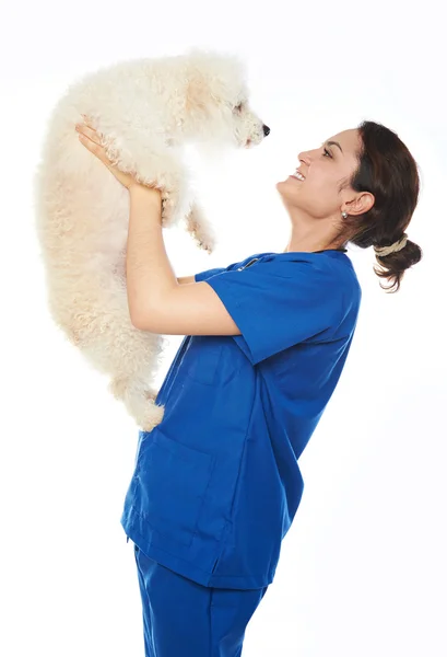 Sorridente veterinário segurar cão — Fotografia de Stock