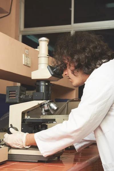 Cientista analisando em microscópio — Fotografia de Stock