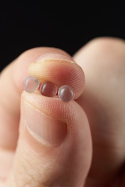 silika jel granül makro