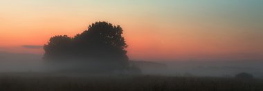 Bahar günbatımı çayır üzerinde