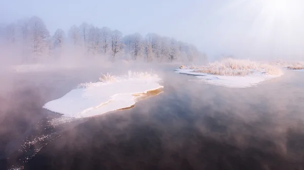 Puslu kış manzarası — Stok fotoğraf