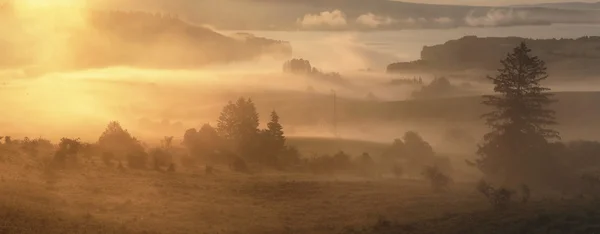 Jasny słoneczny poranek mglisty — Zdjęcie stockowe
