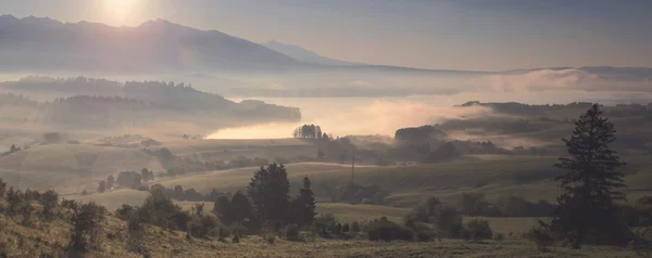 Rano mglisty krajobraz — Zdjęcie stockowe