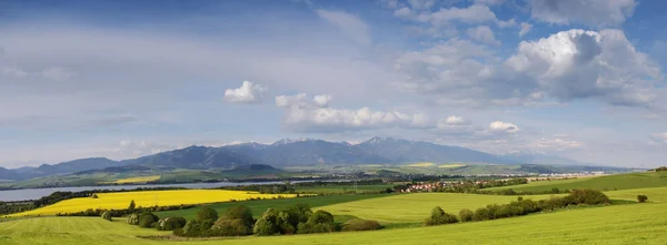 Grön äng under blå himmel — Stockfoto