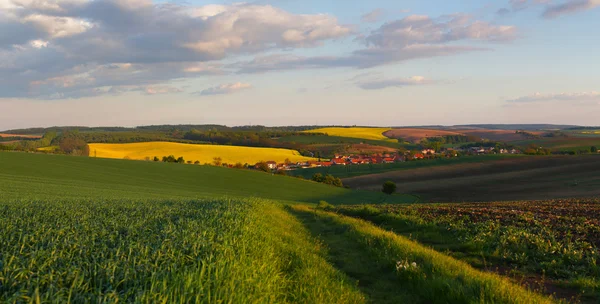 Feldweg in Wiese — Stockfoto