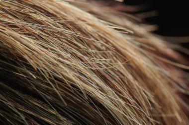 Sağlıklı açık renk saç arkaplan makro yakın görünüm