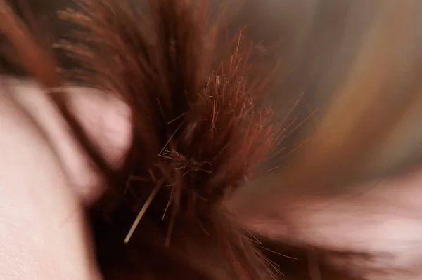 Καθαρίστε Υγιή Καστανά Μαλλιά Άκρα Μακροεντολή Από Κοντά Προβολή Στο — Φωτογραφία Αρχείου