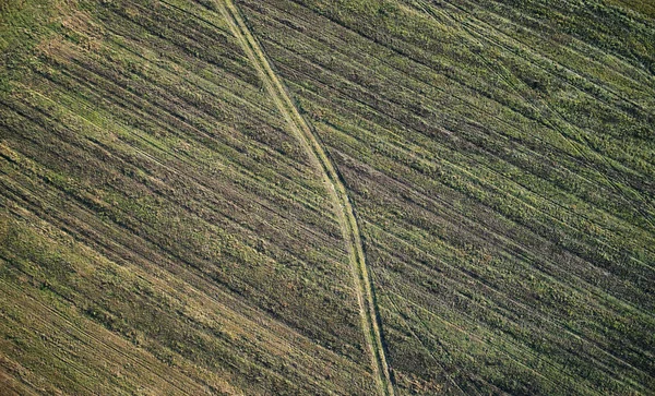 Rural path on green field above top drone view