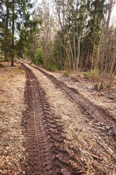 森林の背景に地形のオフロードトラック 砂利道の道 — ストック写真
