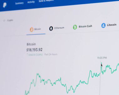 New York, ABD - 20 Kasım 2020: Fiyat değişikliği grafikon ekran bilgisayarı satın alınıyor