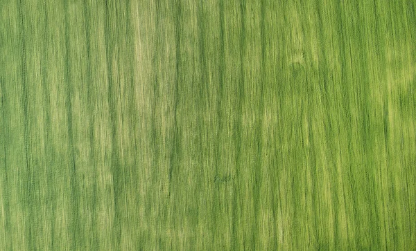 Campo Agrícola Verde Com Linhas Acima Vista Superior — Fotografia de Stock