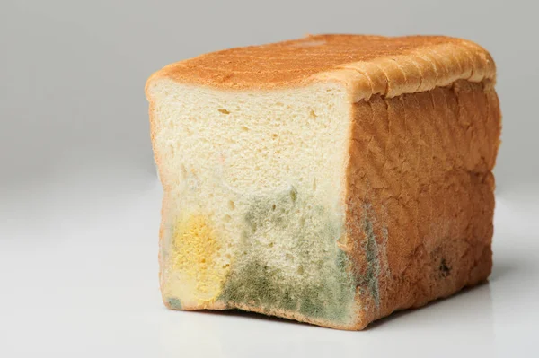 Mould on expired sliced bread isolated on gray background