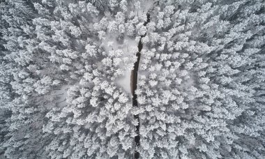 Donmuş yol beyaz kış ormanlarında arka planda üst insansız hava aracı manzarasının üstünde