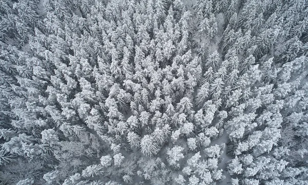 Снежный Фон Над Беспилотником — стоковое фото