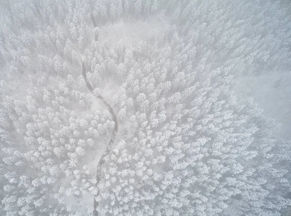 Bosque Invierno Nevado Fondo Natural Avión Tripulado Vista Superior —  Fotos de Stock