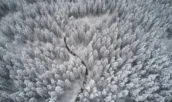 Кривая Дорога Замерзшем Лесу Над Видом Дрона — стоковое фото