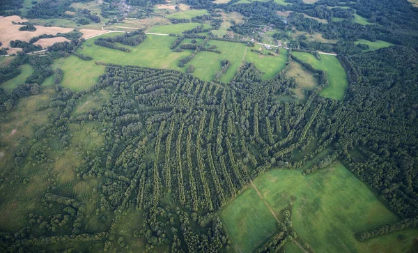 Πράσινο Δάσος Αφηρημένες Γραμμές Εναέρια Πάνω Από Την Κορυφή Άποψη — Φωτογραφία Αρχείου