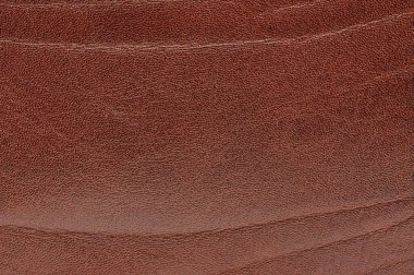 Kırışıklıkları olan deri yüzey makro yakın görünüm