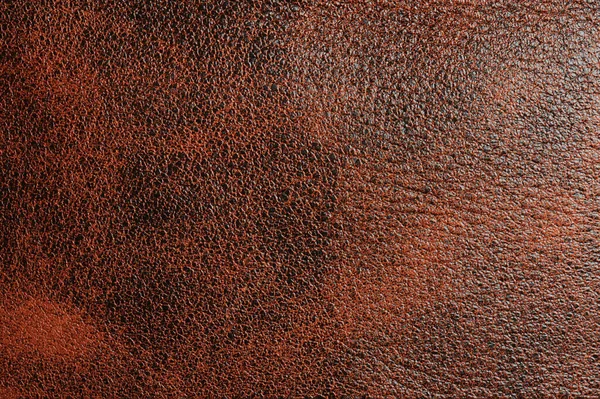 Brown Com Textura Couro Mancha Preta Macro Close View — Fotografia de Stock