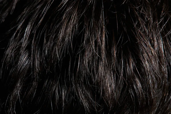 Кінець Чорного Прямого Макросу Волосся Крупним Планом — стокове фото