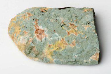 Gri arkaplanda yeşil kalıplı ekmek