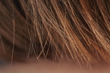 Saç dökülmesi teması. Düz kahverengi saç makro görüntüsünün sonları