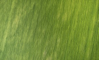 İHA üst görünümü üzerinde yeşil çimen alan dokusu arka planı