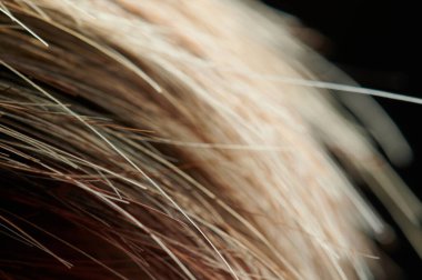 Açık kahverengi saçlar bulanık siyah arkaplanda bitiyor