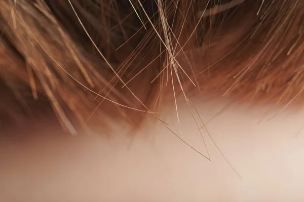 Messy Hair Ends Blurred Skin Background — Foto de Stock