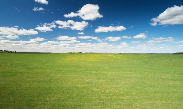 Campo Día Soleado Brillante Vista Superior Del Dron Aéreo —  Fotos de Stock