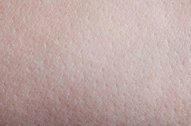 Beyaz temiz cilt arkaplan makrosu yakın görünüm