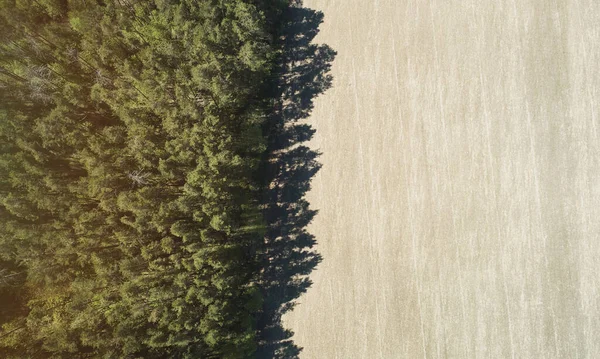 Pół Puste Brązowe Pole Wirh Las Powyżej Góry Drone Widok — Zdjęcie stockowe
