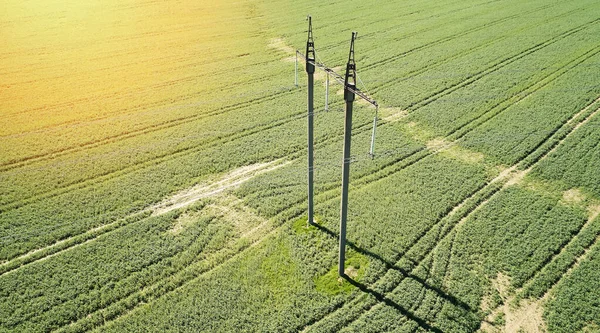 緑の日当たりの良い草原の背景にドローンビュー上の電力線 — ストック写真