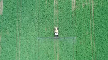 Tarım makineleri traktör teması. Yeşil çayıra traktörle gübre püskürtülüyor.